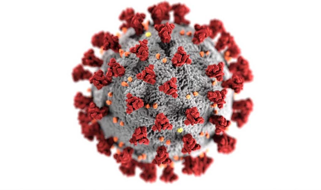 Economic Renewal in the shadow of a pandemic