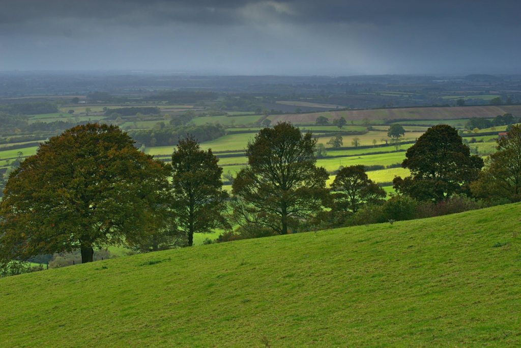 Green Belt Area